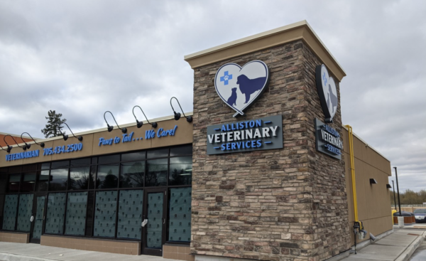 Engineering services in Barrie and Kingston